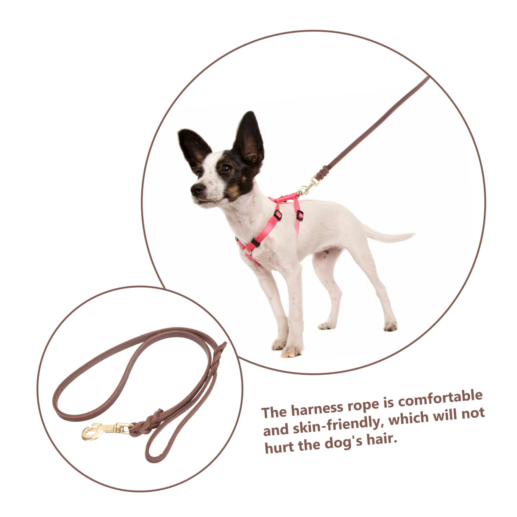 YARNOW 3pièces Laisse Cuir pour Chien Corde De Traction pour De Chien Couleur Marron avec pour De Moyenne à