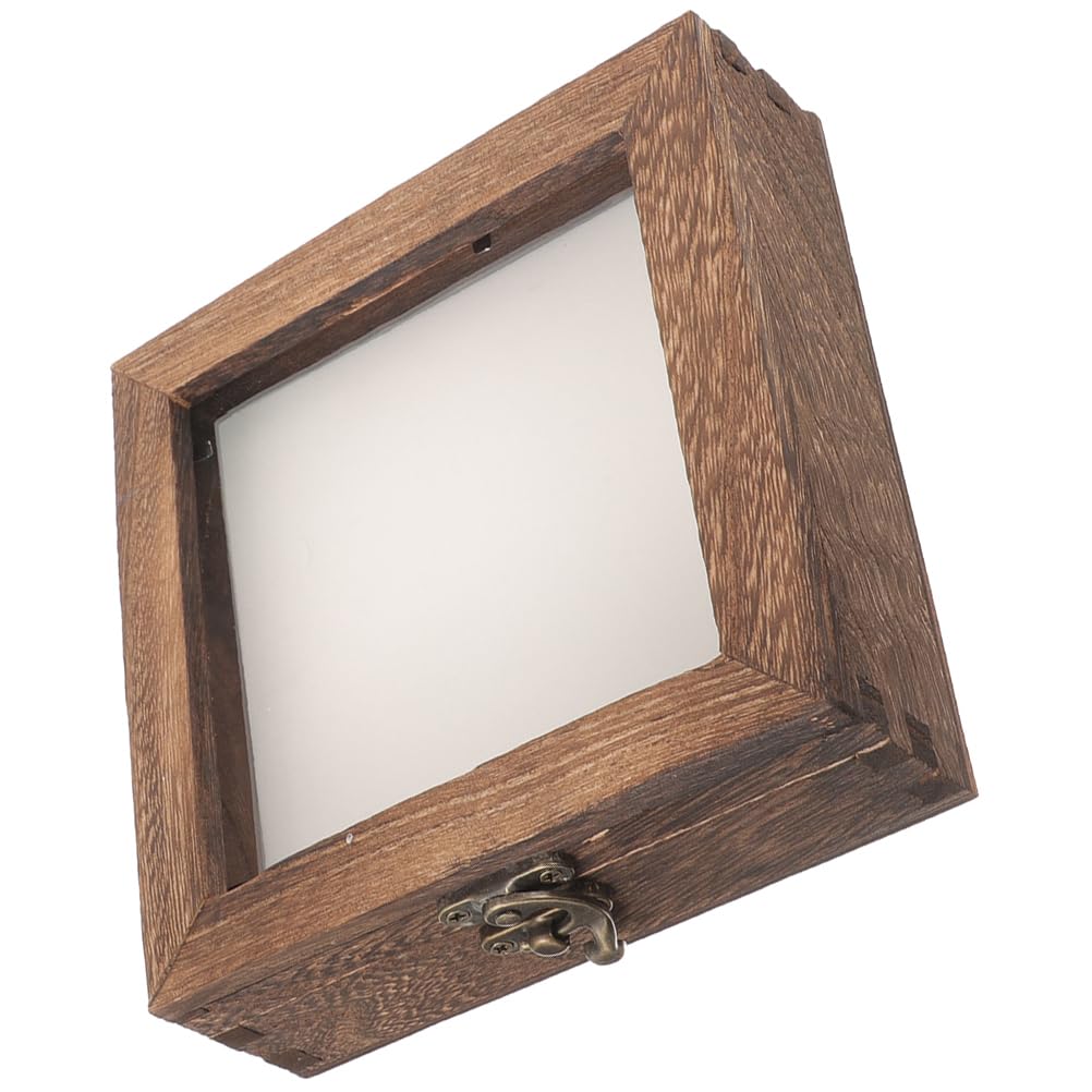 STOBAZA Vetrina in legno per campioni di insetti con coperchio trasparente, 10 x 10 x 4 cm, espositore compatto per la presentazione di farfalle e campioni di piante