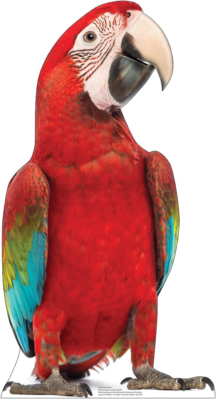 Cardboard People Red Parrot Life Size Cardboard Cutout