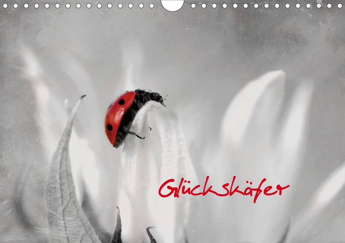 Glückskäfer (Wandkalender 2021 DIN A4 quer): Das ganze Jahr Glück (Monatskalender, 14 Seiten )