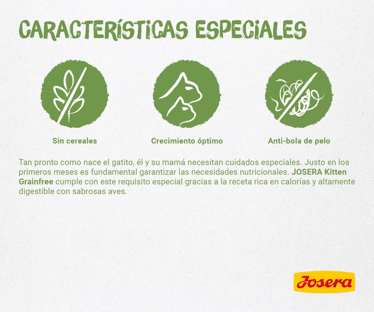 JOSERA Kitten grainfree (1 x 10 kg) | Un pienso completo para gatas gestantes, lactantes y en crecimiento | sin cereales con valioso aceite de salmón | 1 unidad