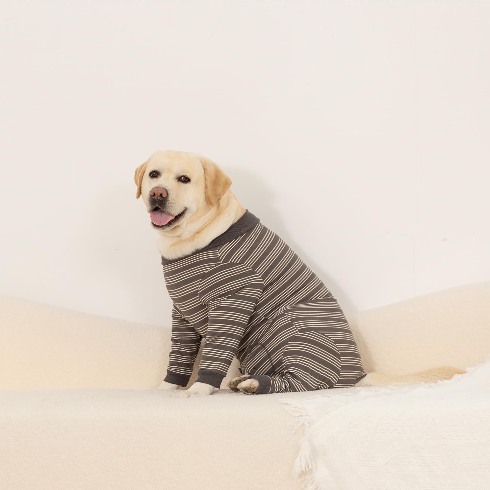DoggieKit Dog Surgical Recovery Suit for Dogs After Surgery Dog Recovery Shirt, Pet Anti-licking Surgery Suits - Image 2