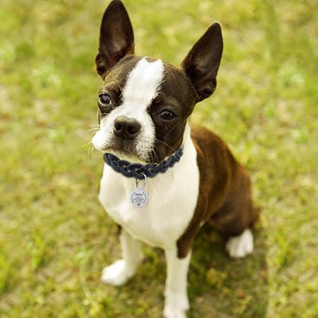 Amazon オーダーメイド 犬 名札 首輪 セット おしゃれ 迷子札 革製首輪 ネームタグ ステンレス ドッグタグ 両面刻印 名入れ 連絡先 ペット アクセサリー Idタグ ネームプレート 小型犬 中型犬 大型犬 猫 首輪用チャーム ペンダント チョーカー ペットグッズ