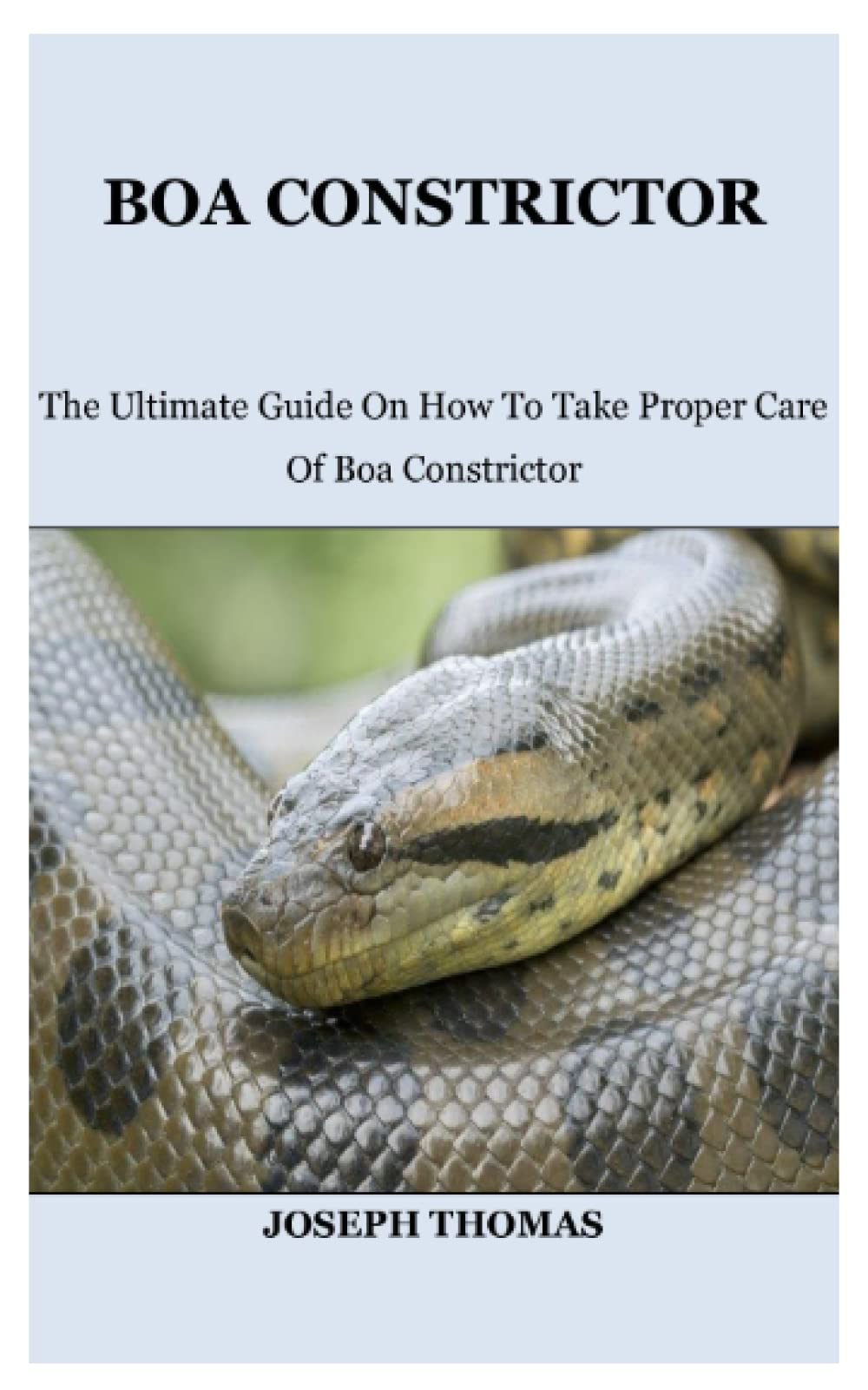 BOA CONSTRICTOR: The Ultimate Guide On How To Take Proper Care Of Boa Constrictor
