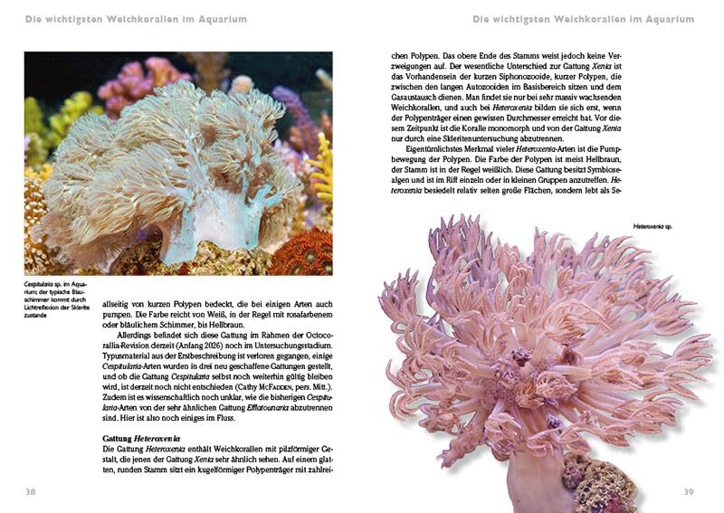 Weichkorallen im Meerwasseraquarium: Pflege und Vermehrung (Buchreihe Art für Art Meerwasser)