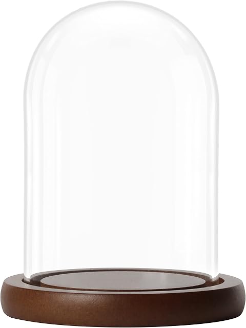 BELLE VOUS Glass Dome Cloche Bell Jar with Brown Wooden Base - 9.4cm / 3.7 Inches - Clear Decorative Tabletop Display Case with Tray for Fairy Lights, Centrepieces and Antiques