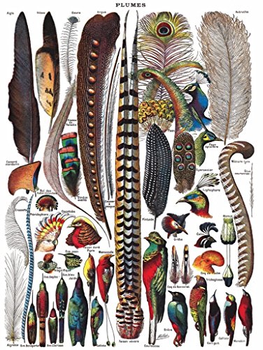 Puzzle 1000 piezas Feathers NYPC con imágenes vintage de colección