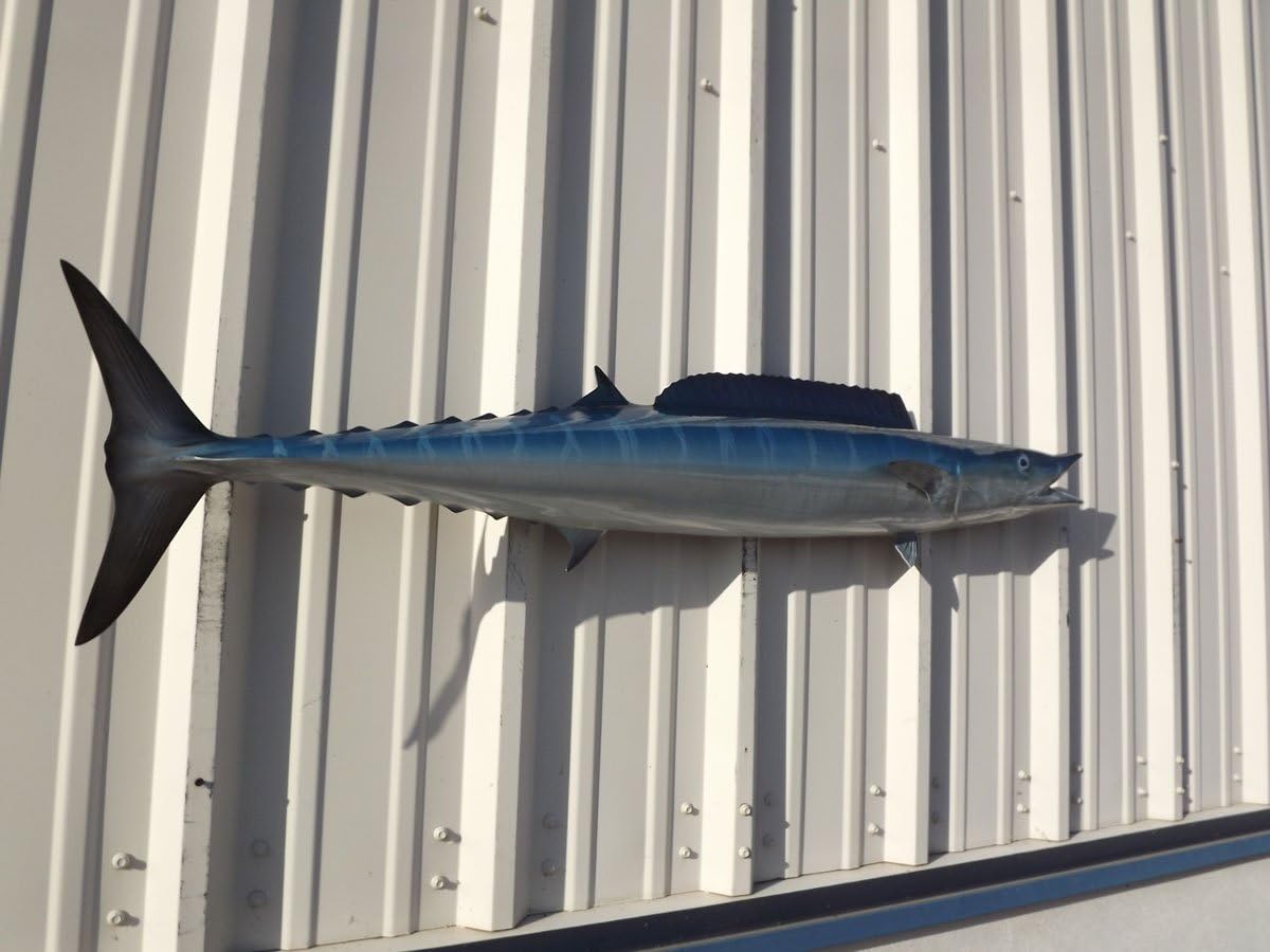 Wahoo Wall Mount – 53 Inch Half Mount Fish Replica for Fishing & Coastal Wall Decor