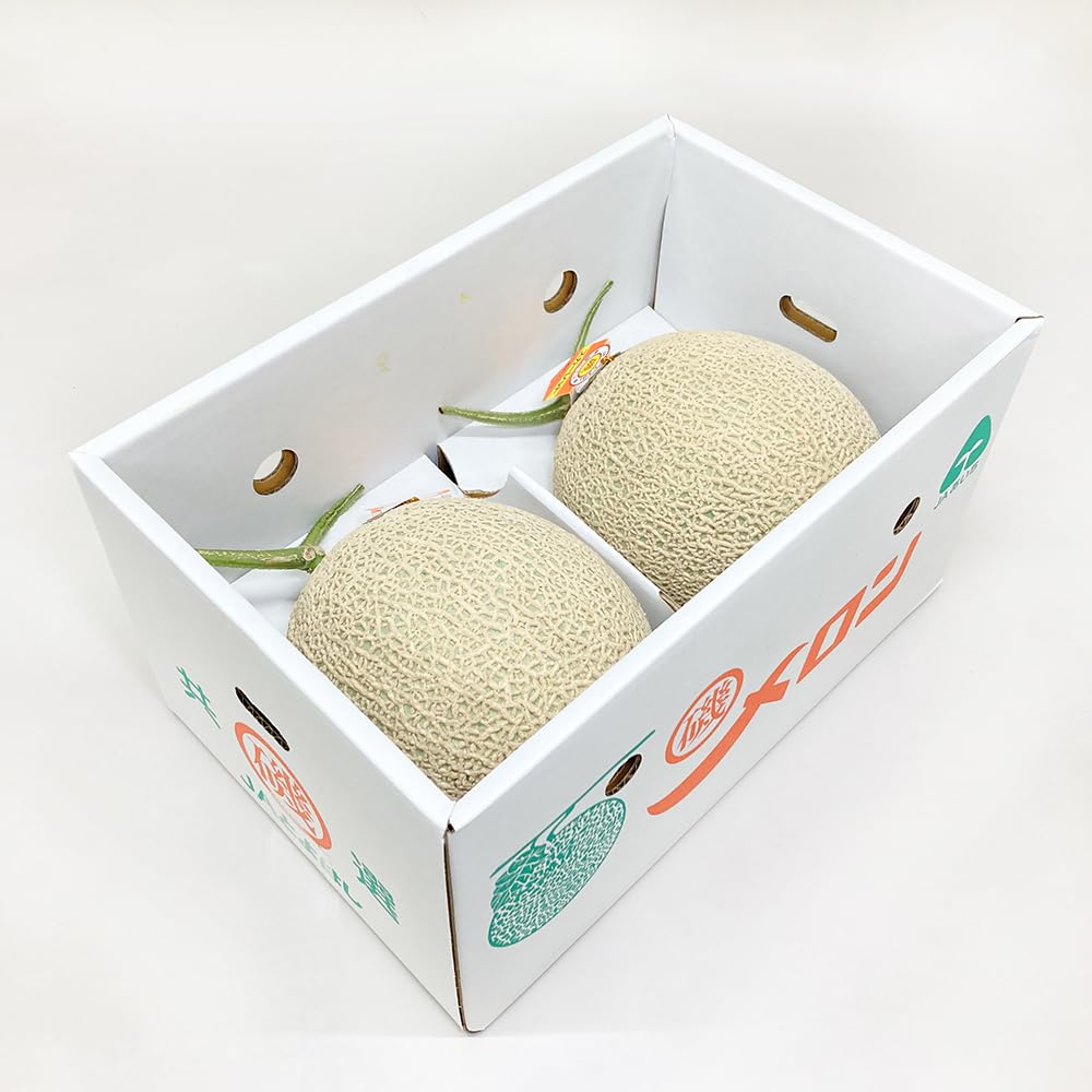 食品 ⑥【愛知道産】アールスメロン2L5玉 約7.5kg