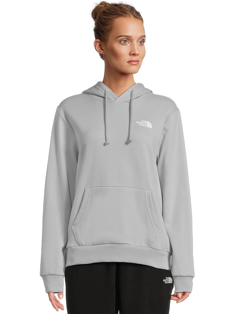 Gray The North Face Evolution Box NSE Hoodie