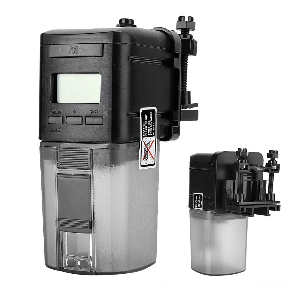 turtle vacation feeder