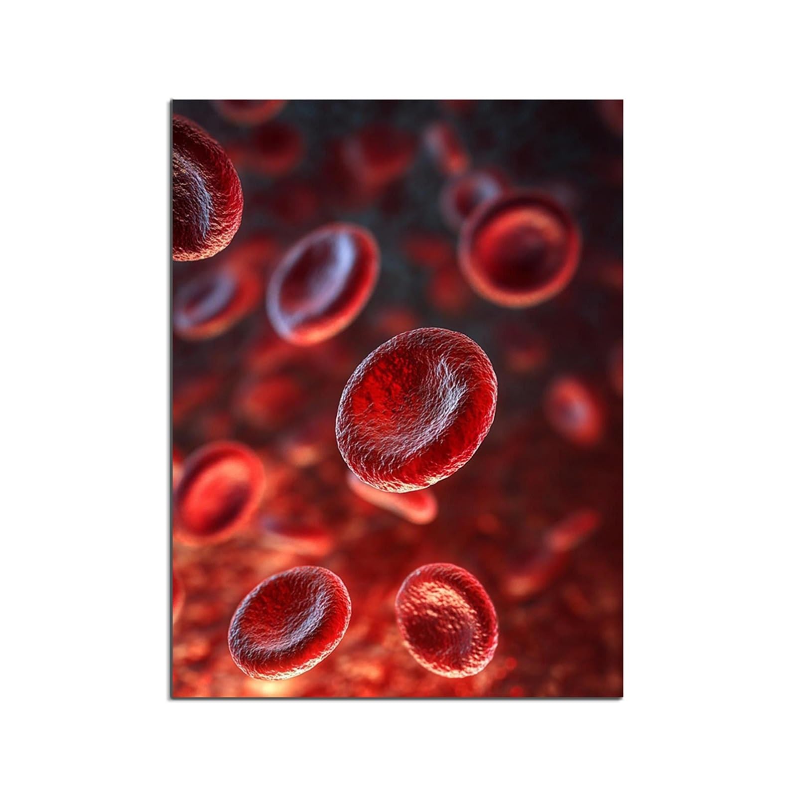 1 Szt. Komórki Akwarela Drukuj Histologia Krwi Hematologia Mikrobiologia Naukowa Klinika Lekarza Medycznego Plakat Dekoracyjny(6,60x80cm Canvas)
