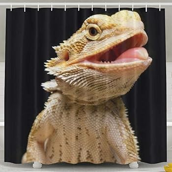bearded dragon fabric