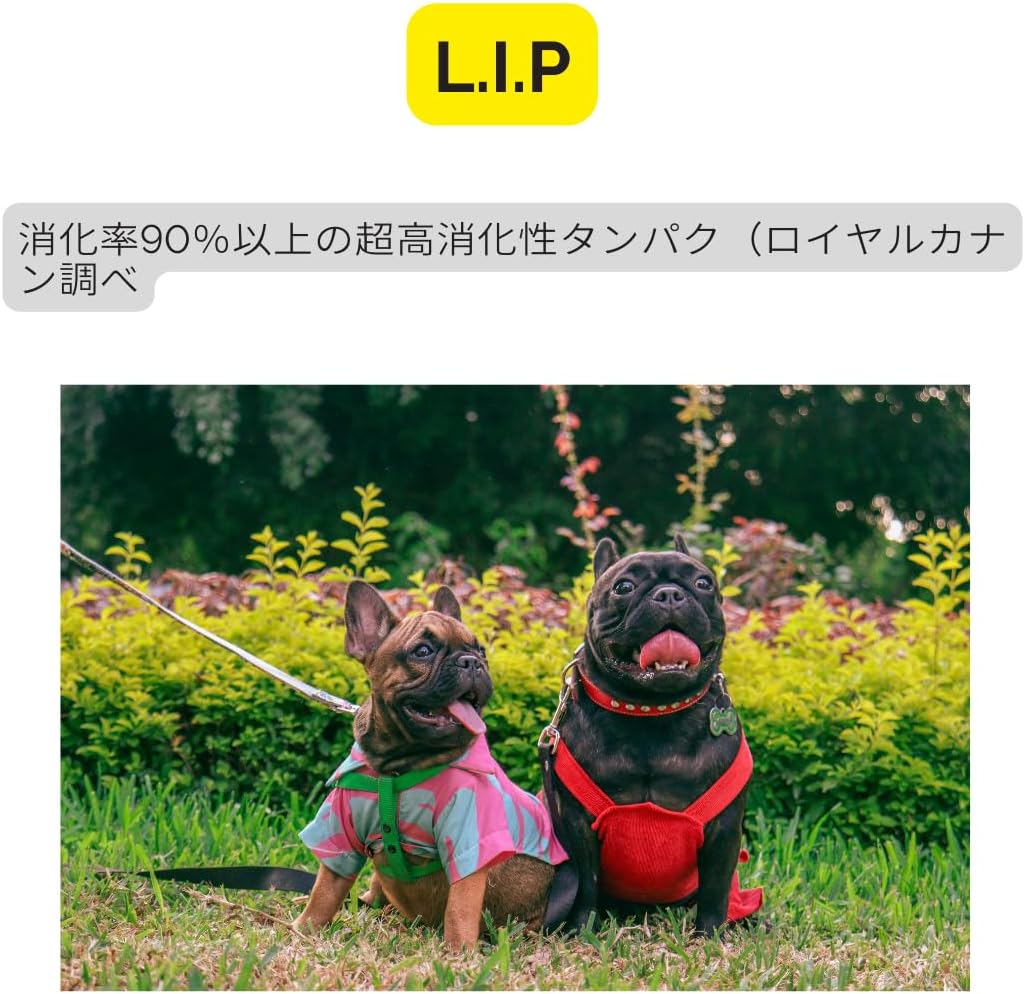 ロイヤルカナン フレンチブルドッグ 成犬用9kg ロイヤルカナン