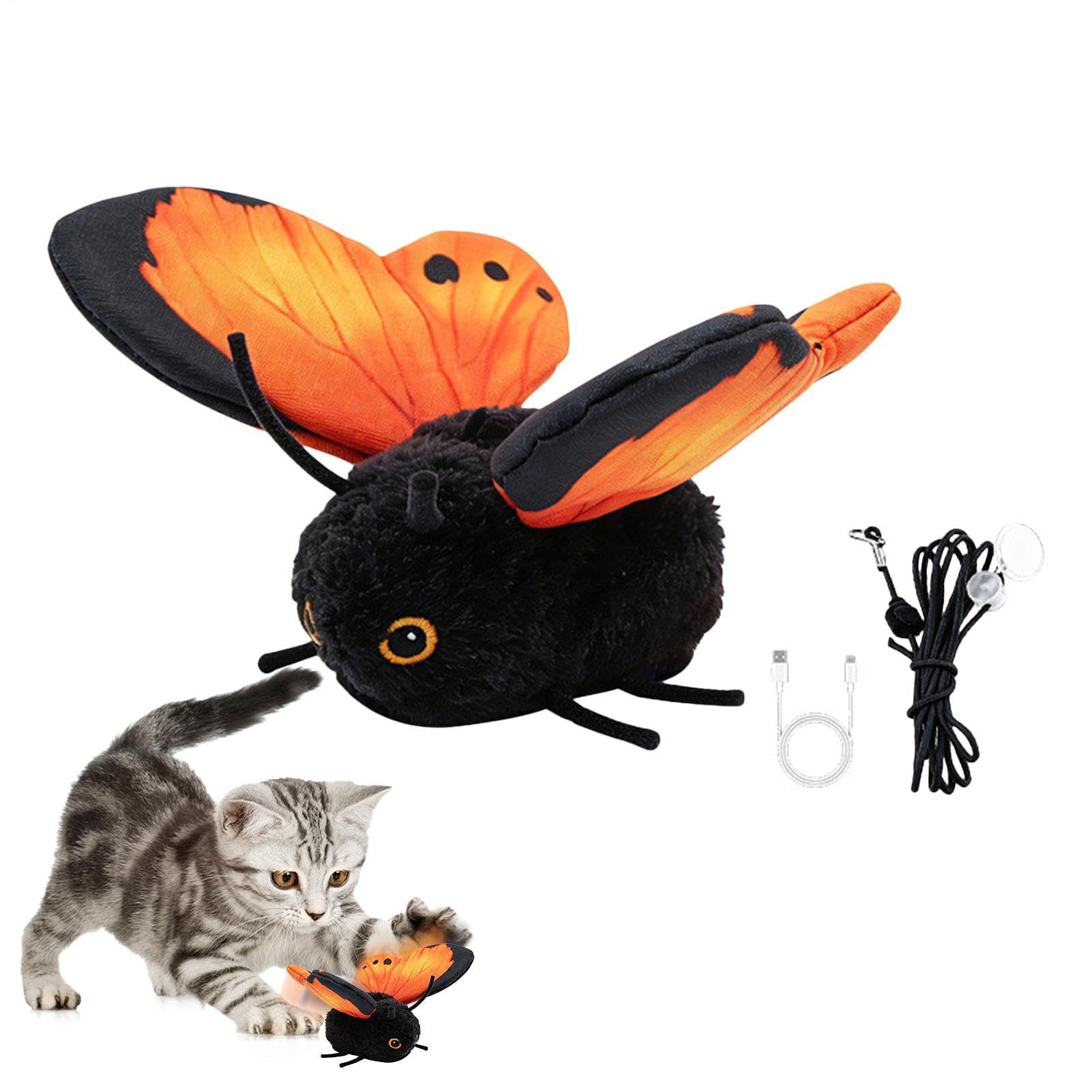 Jouet chat électrique papillon rechargeable USB interactif pour petit et grand chaton
