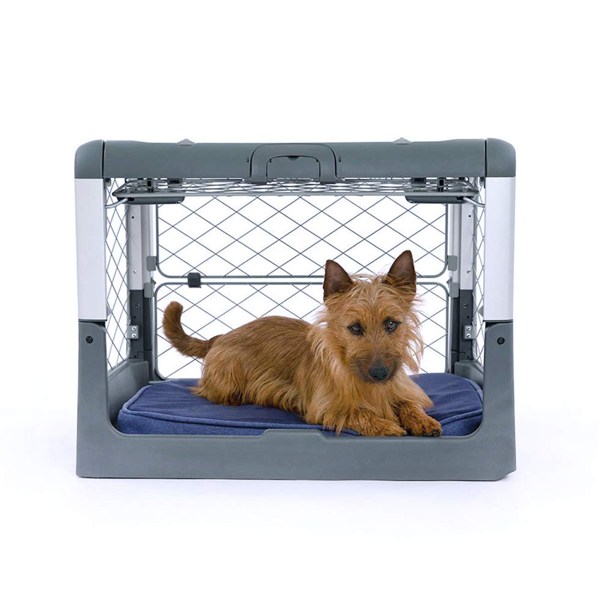 Diggs revol large crate Clearance