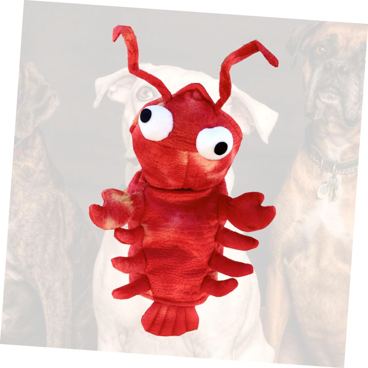 BESTYASH Costume per Cani Halloween a Forma di Aragosta Rossa in Cotone, Decorazione Creativa e Divertente, per Feste e Utilizzo Quotidiano senza Danneggiare Pelo