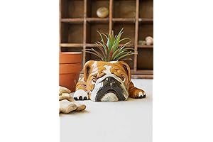 KALALOU CDV2139 Ceramic Bulldog Planter: A Timeless Companion for Your Precious Plants