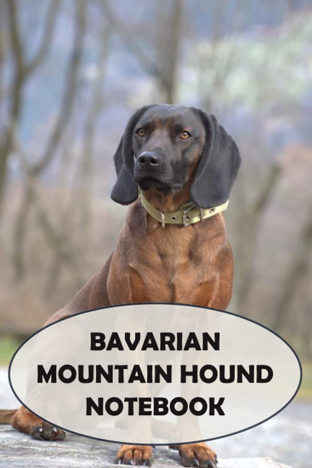Bavarian Mountain Hound Notebook: Notebook|Journal| Diary/ Lined - Size 6x9 Inches 100 Pages