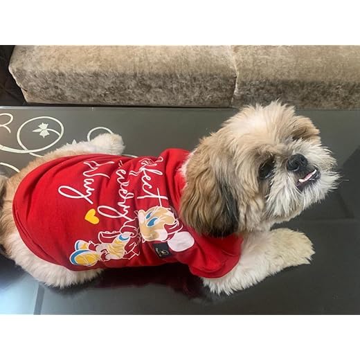 Golden Tails Printed Red T-Shirt XS 12