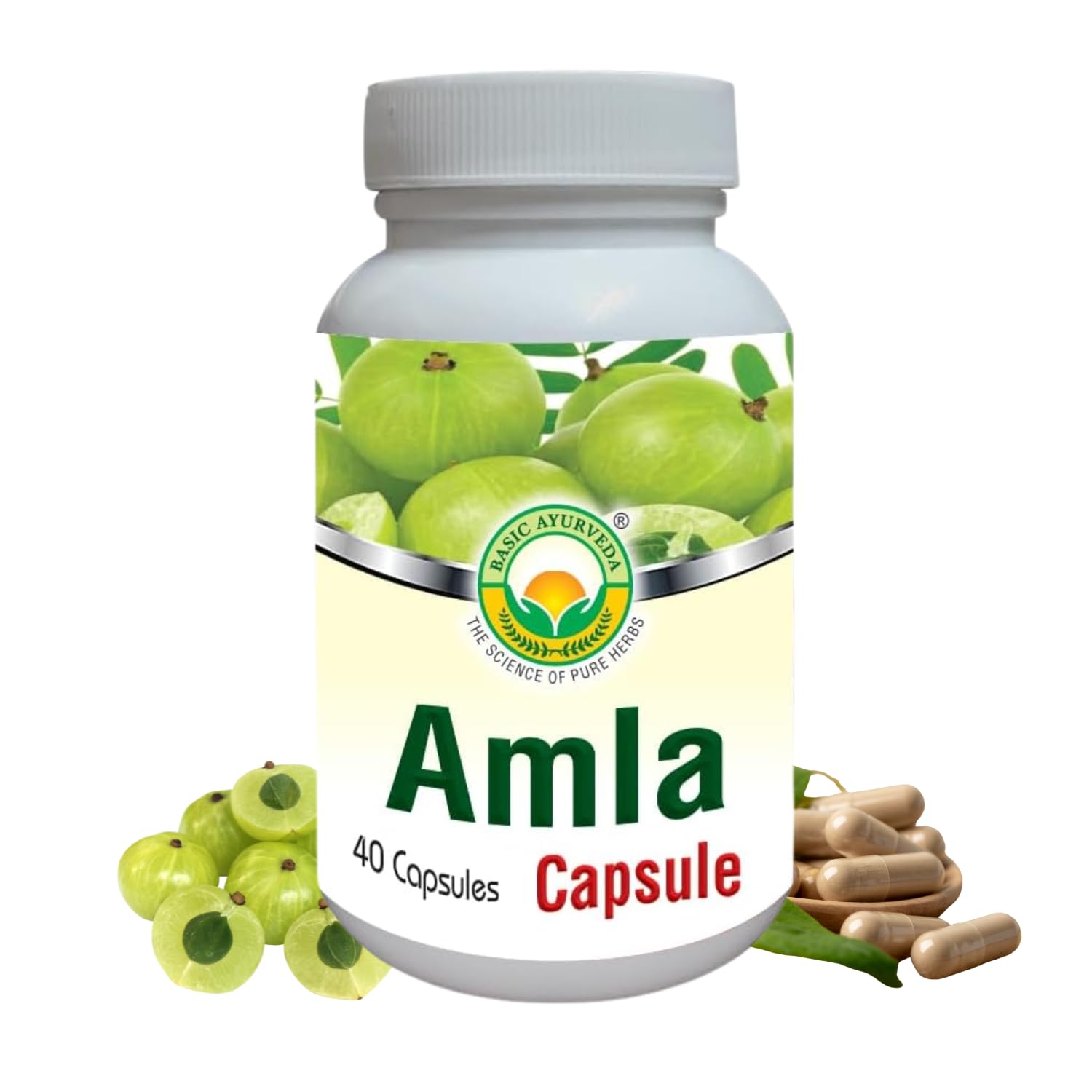 BASIC AYURVEDA Amla Capsules 460mg Indian Gooseberry Supplement with Natural Antioxidants Daily Herbal Formula for Wellness Skin Hair
