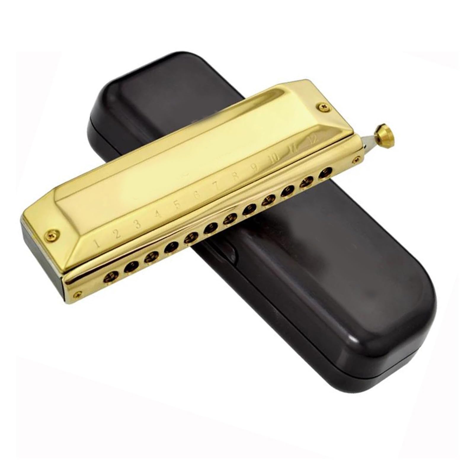 armonica a bocca Armonica Professionale 12 Fori 48 Note Organetto A Bocca Arpa Strumento Musicale Armonica Cromatica Strumento Professionale (Color : Gold)
