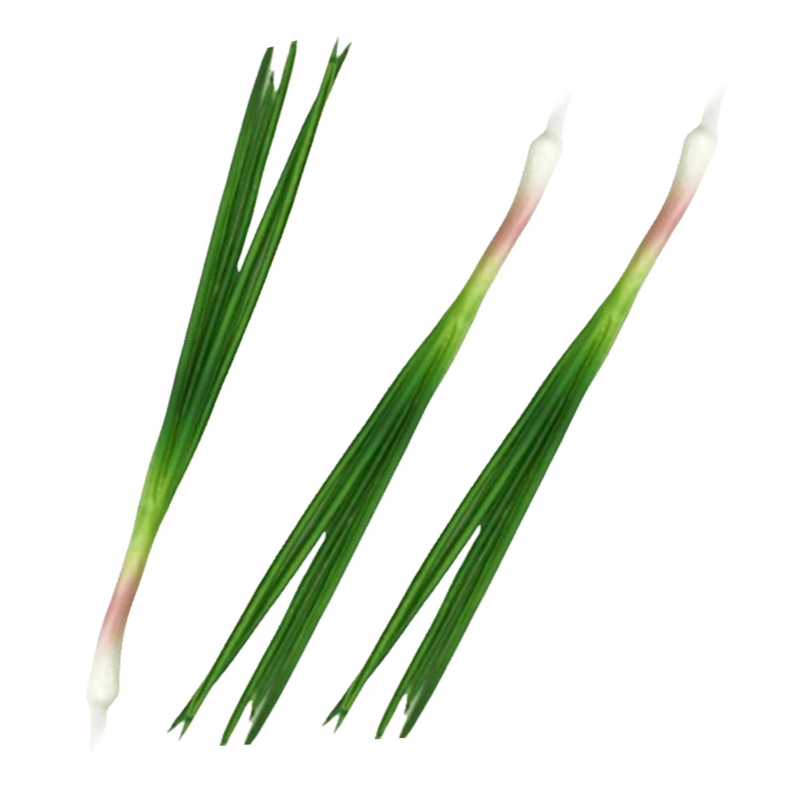 Kalttoy 3Pcs Realistic Simulation Scallions Simulation Vegetables Artificial Green Onions for Home Decoration and Photography PU Vegetables