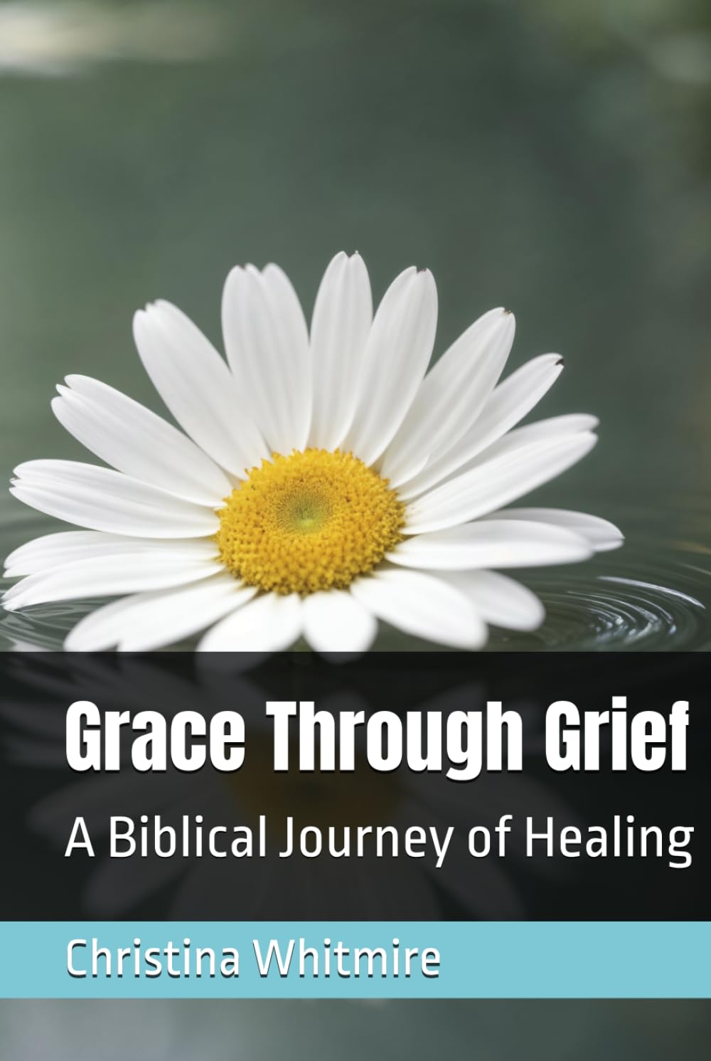 Grace Through Grief: A Biblical Journey of Healing