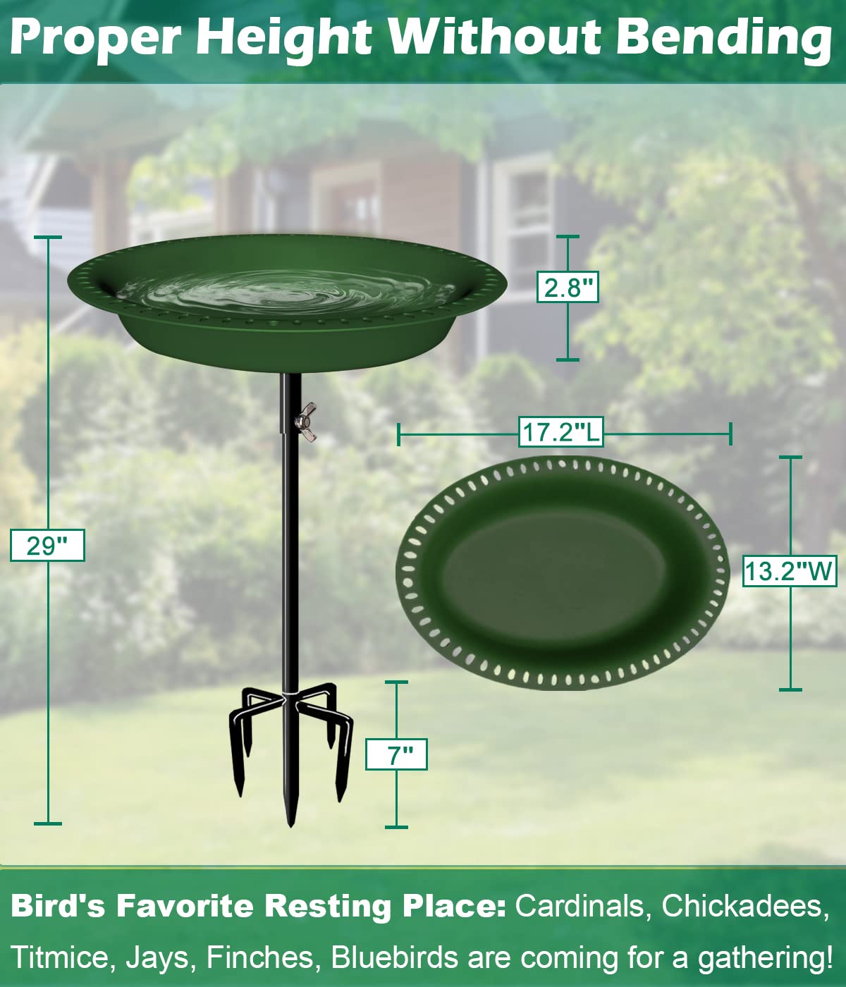 Bain d'oiseaux amovible de 73,6 cm de hauteur avec support en métal, bol ovale pour oiseaux et mangeoire à oiseaux avec base à 5 dents pour jardin extérieur, vert