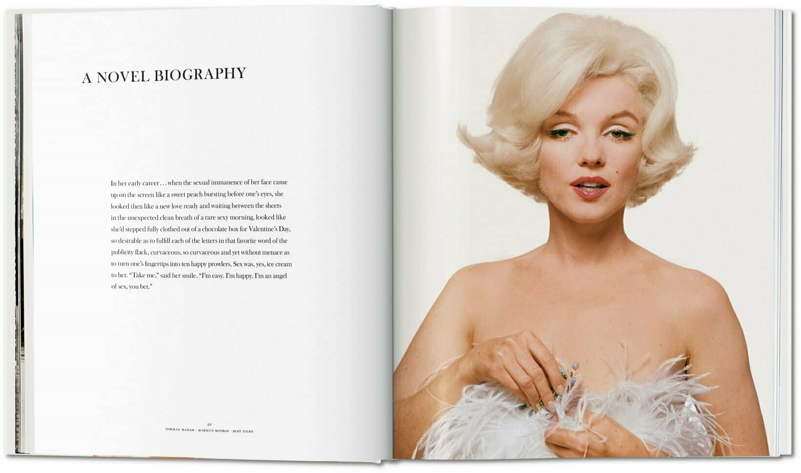 Norman Mailer: Bert Stern. Marilyn Monroe (Photography Book)