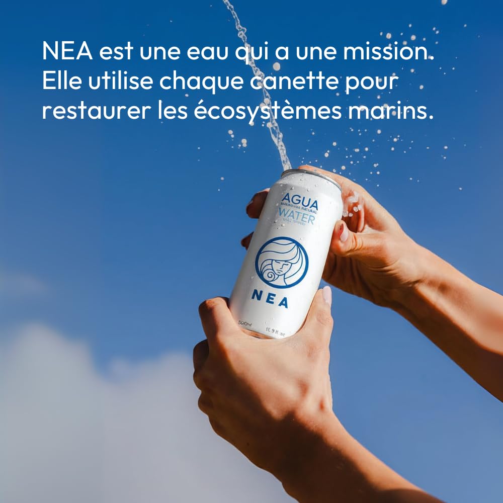 NEA Eau Plate Naturelle de Source Alpine en Canette Aluminium Recyclable - Eau Minérale Naturelle Pack 24 Canettes 33cl - Sans Plastique Sans BPA - Bureau Sport Voyage