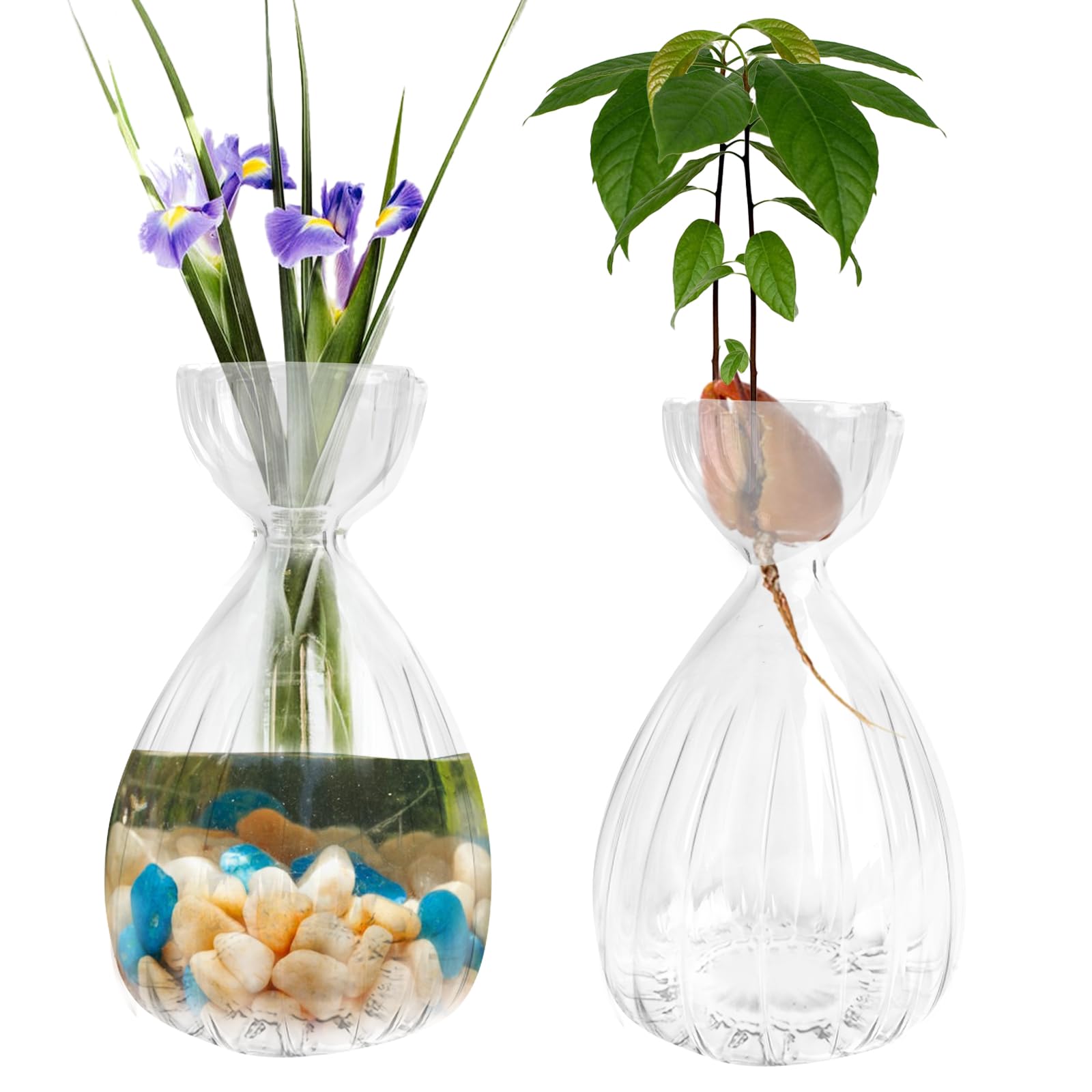 Avocado Seed Vase, Glass, Avocado Tree, Flower Vase, Avocado, Seed, Sprouts, Starter, Avocado Vase, Avocado Vase, Hydroponic Vase, Home Decor, Transparent, 2 Pack