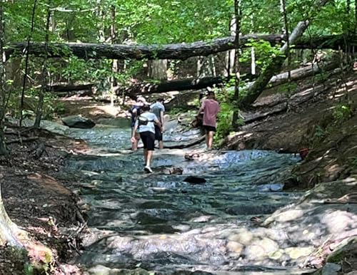 Beyond the Books: Teaching the Moral Grit of the Bonhoeffer Family