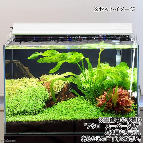 オールガラス60ｃｍ水槽と専用ＬＥＤライトのセット Tetra テトラ 水槽セット オールグラスアクアリウム600