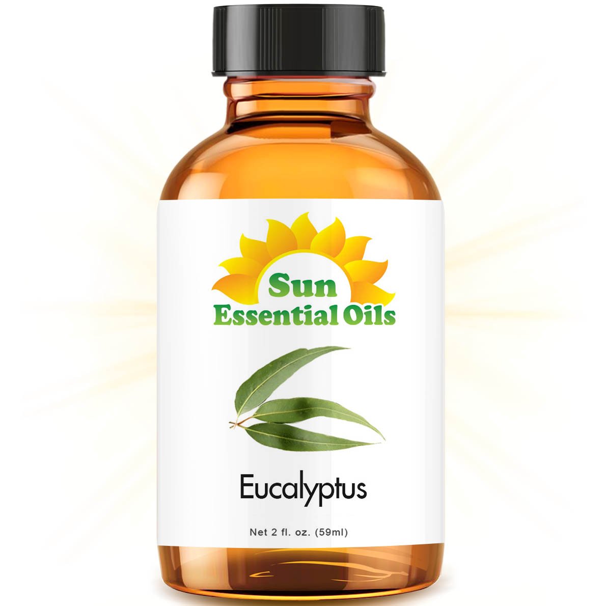 Sun Essential Oils Eucalyptus (Huge 2oz Bottle) Bulk Eucalyptus - 2 Ounce