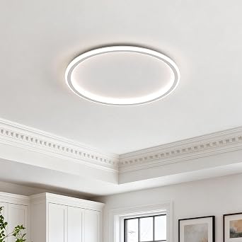 Modern White LED Flush Mount Ceiling Light, 23.6" Dimmable Fixture