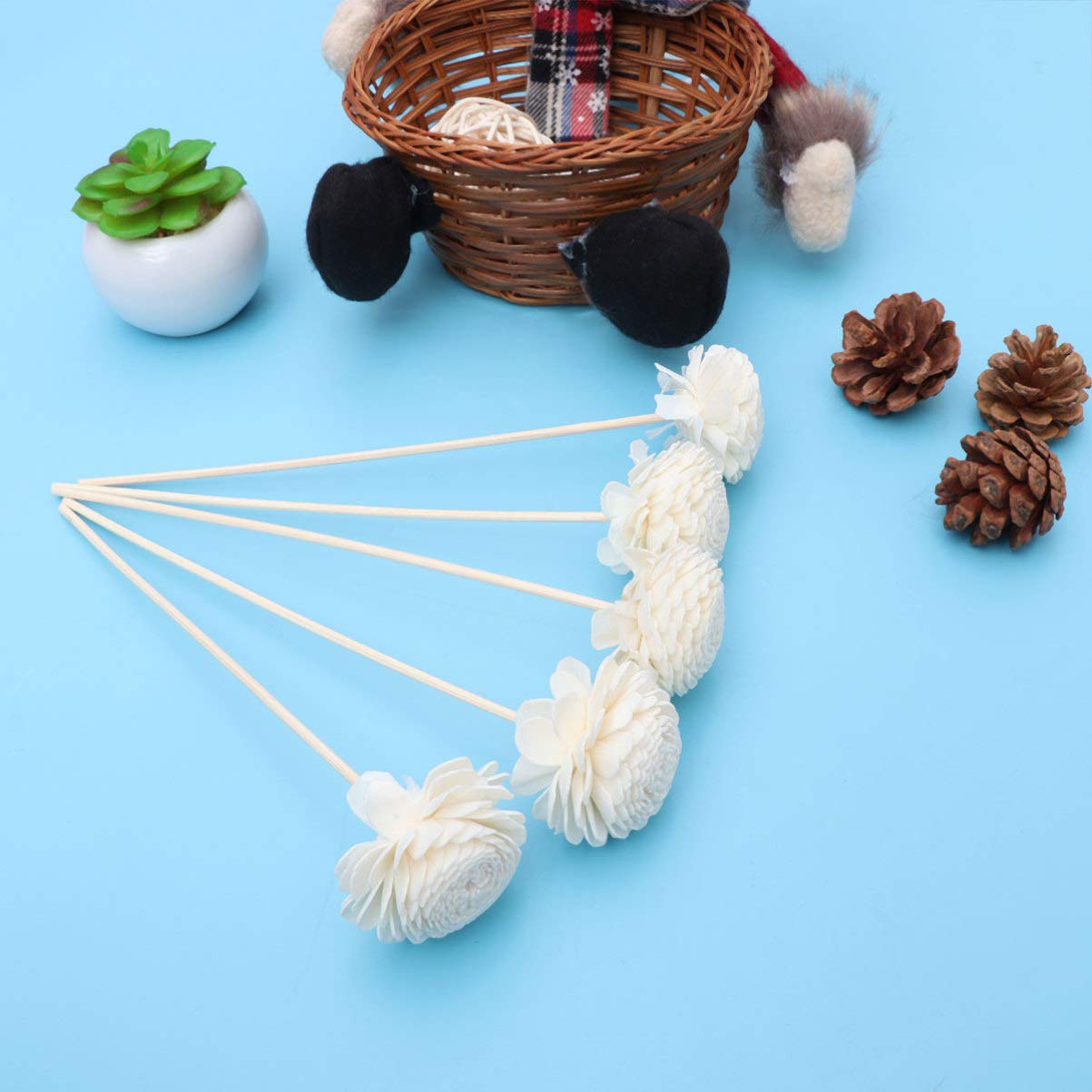 Multi-color Reed Sticks 5-Pack Wavy Rattan Reed Sticks For Fragrance ...