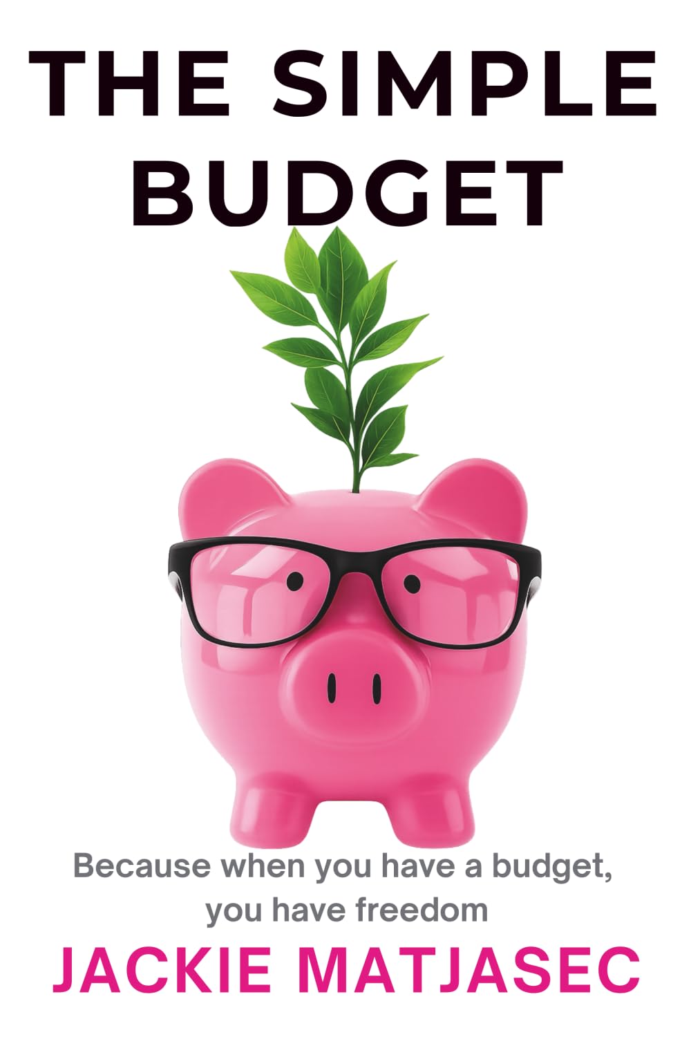 The Simple Budget: Because When You Have a Budget, You Have Freedom