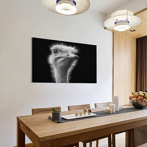 Miniatura 3 de Póster de retrato en blanco y negro de avestruz con animales salvajes, hermoso fondo negro, pósteres e impresiones artísticas de pared para sala de