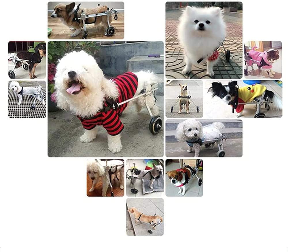 REMEK Sedia A Rotelle per Cani Regolabile, Carrozzina per Disabili Piccoli, Medi E Grandi Zampe Posteriori Animali Domestici Gatti Cani Zampe Posteriori Deambulatore