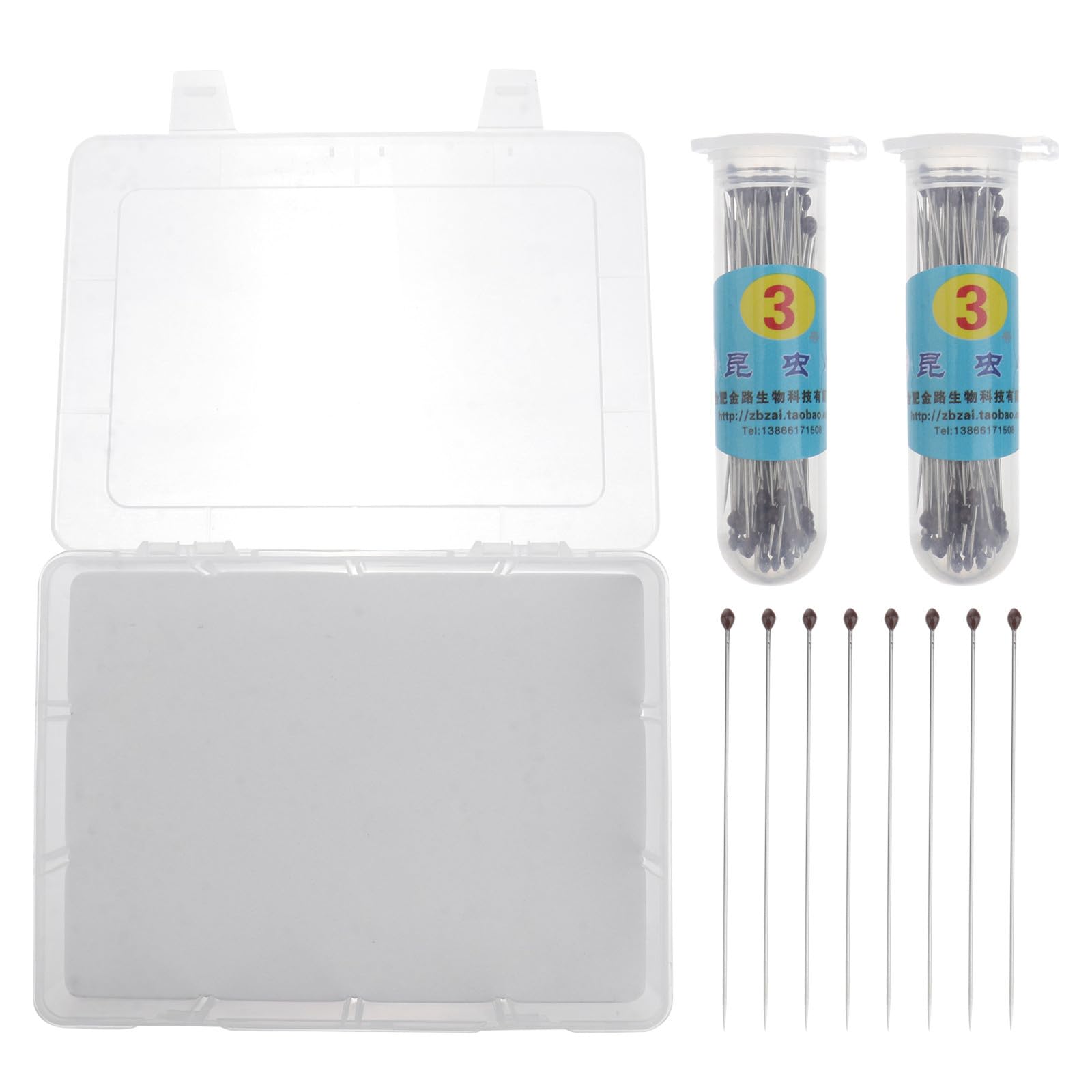 Spécimens d'insectes protégés dans leur boîte kit transparente avec aiguilles