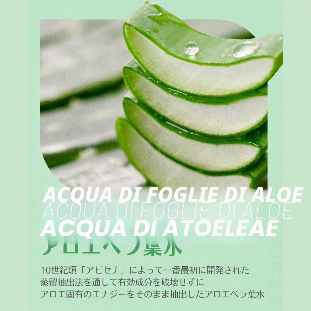 Holika Holika Gel lenitivo leggero al 96% di Aloe Vera con formula idro (55 ml)
