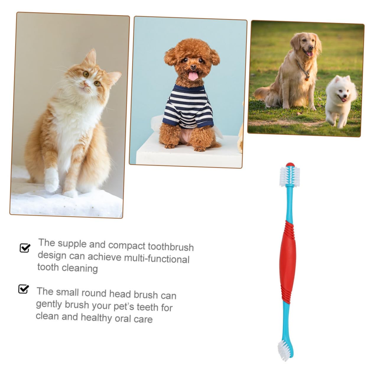 INOOMP 12 Pièces brosse à dents pour animaux de compagnie brosse à dents brossette nettoyeur de dents de chiot souple pour animaux de compagnie doux