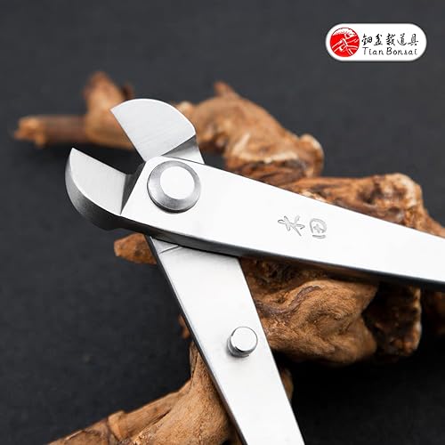 Miniatura 7 de El bonsái profesional del cortador de alambre del grado equipa el acero de aleación 4Cr13MoV 8.071 in