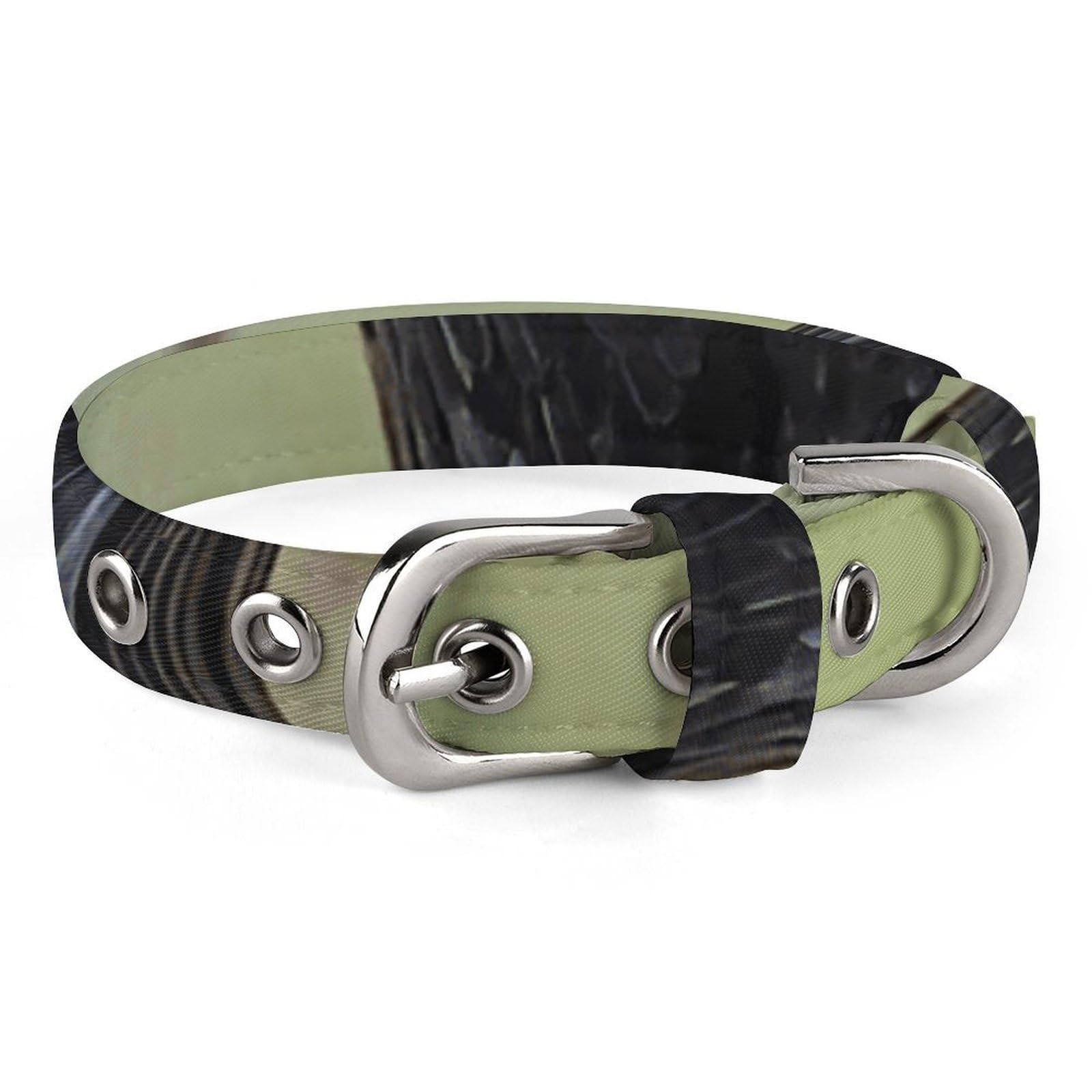 Collier pour chien réglable pour des balades urbaines et nature