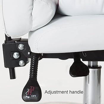 Amazon.com: ZOCWJK Ergonomic Computer Chair with Retractable