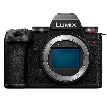 Panasonic LUMIX S5ii DC-S5M2 ☆付属品有 61sMibS7DpL._UF350,350_QL80_.jpg