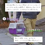 Ver la foto 3