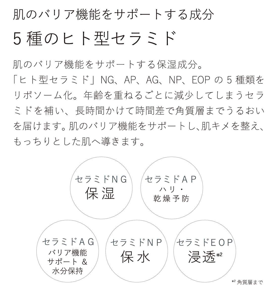 フェイスクリーム CELLESSENSE CREAM ACTIVATOR 50g CELLESSENSE ヒト歯髄由来の幹細胞培養液を配合した次世代型