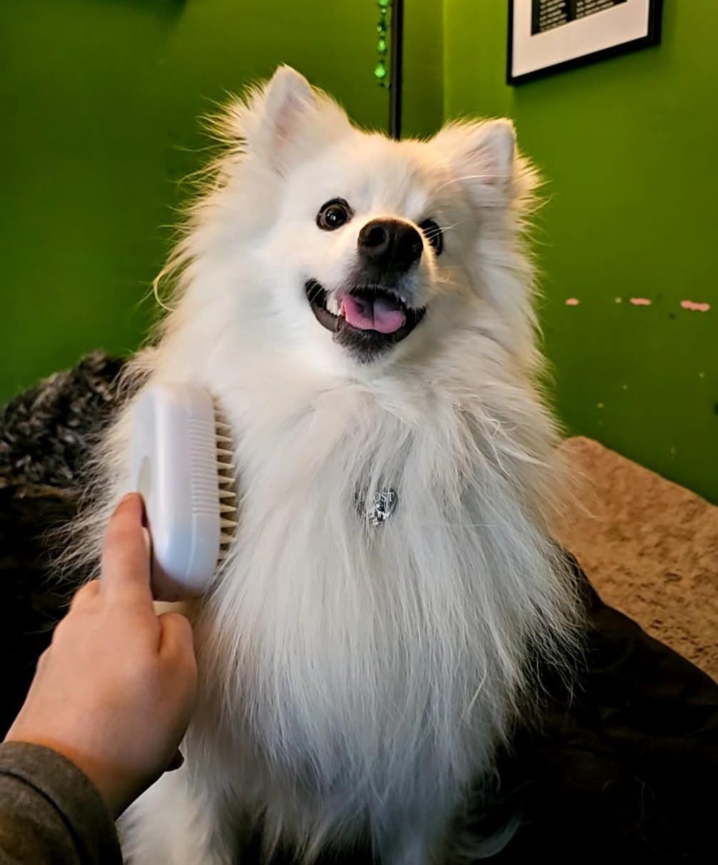 Even my dog loves this brush!